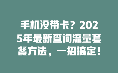 手机没带卡？2025年最新查询流量套餐方法，一招搞定！