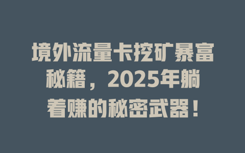 境外流量卡挖矿暴富秘籍，2025年躺着赚的秘密武器！