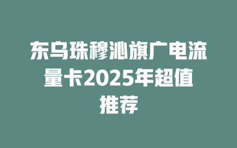 东乌珠穆沁旗广电流量卡2025年超值推荐