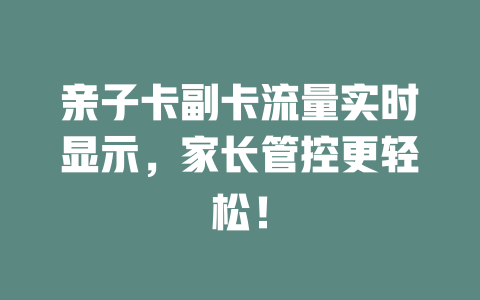 亲子卡副卡流量实时显示，家长管控更轻松！
