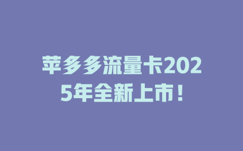 苹多多流量卡2025年全新上市！