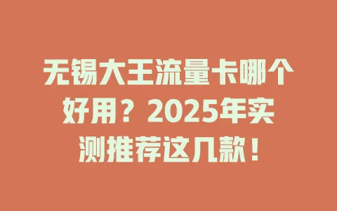 无锡大王流量卡哪个好用？2025年实测推荐这几款！