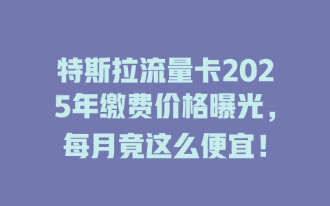 特斯拉流量卡2025年缴费价格曝光，每月竟这么便宜！