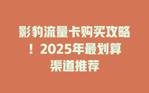 影豹流量卡购买攻略！2025年最划算渠道推荐