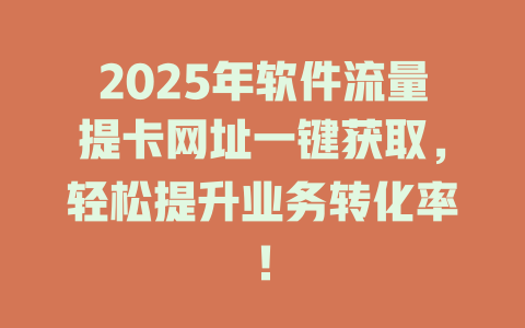 2025年软件流量提卡网址一键获取，轻松提升业务转化率！