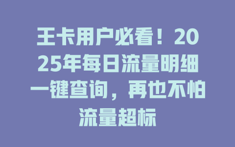 王卡用户必看！2025年每日流量明细一键查询，再也不怕流量超标