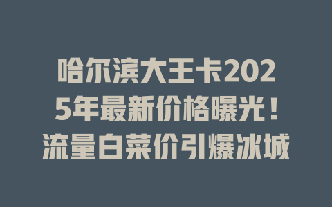 哈尔滨大王卡2025年最新价格曝光！流量白菜价引爆冰城