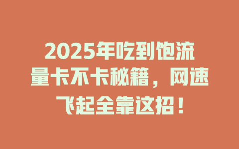 2025年吃到饱流量卡不卡秘籍，网速飞起全靠这招！