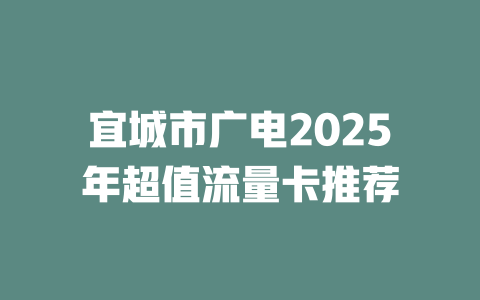 宜城市广电2025年超值流量卡推荐