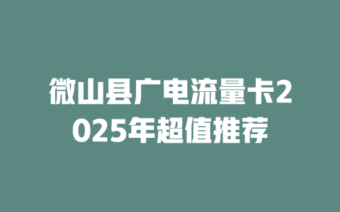 微山县广电流量卡2025年超值推荐