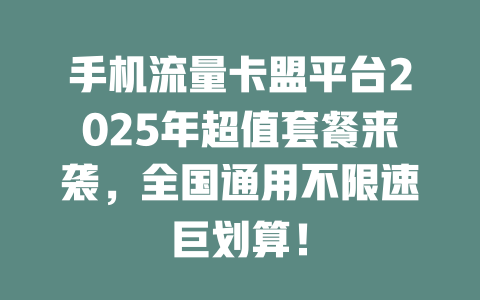 手机流量卡盟平台2025年超值套餐来袭，全国通用不限速巨划算！