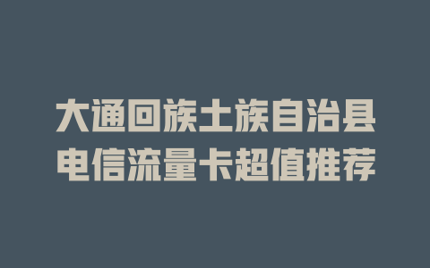 大通回族土族自治县电信流量卡超值推荐