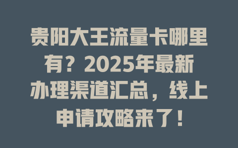 贵阳大王流量卡哪里有？2025年最新办理渠道汇总，线上申请攻略来了！