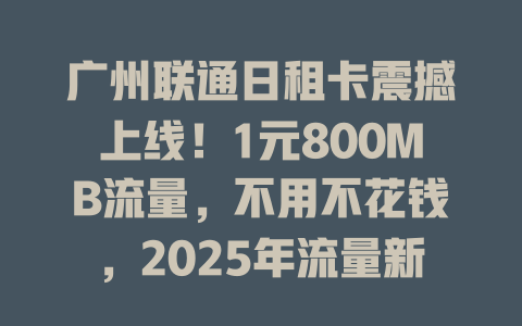 广州联通日租卡震撼上线！1元800MB流量，不用不花钱，2025年流量新选择！