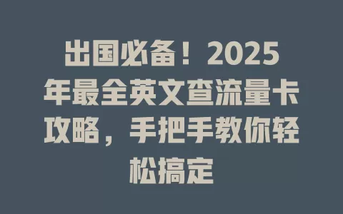 出国必备！2025年最全英文查流量卡攻略，手把手教你轻松搞定