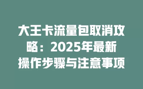 大王卡流量包取消攻略：2025年最新操作步骤与注意事项