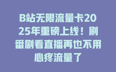 B站无限流量卡2025年重磅上线！刷番剧看直播再也不用心疼流量了