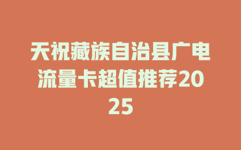 天祝藏族自治县广电流量卡超值推荐2025