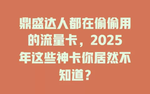 鼎盛达人都在偷偷用的流量卡，2025年这些神卡你居然不知道？