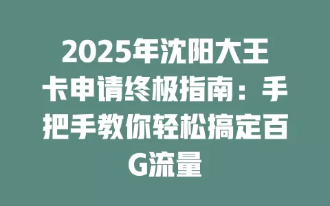 2025年沈阳大王卡申请终极指南：手把手教你轻松搞定百G流量