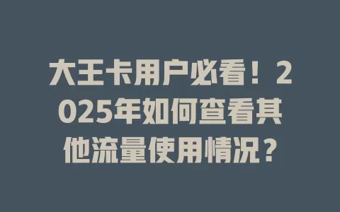 大王卡用户必看！2025年如何查看其他流量使用情况？