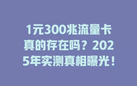 1元300兆流量卡真的存在吗？2025年实测真相曝光！
