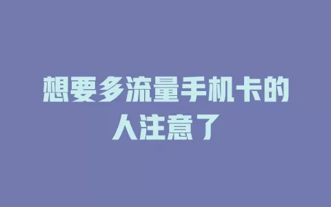 想要多流量手机卡的人注意了