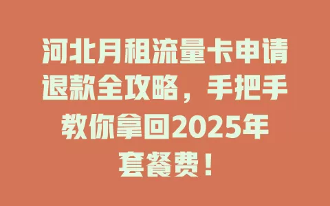 河北月租流量卡申请退款全攻略，手把手教你拿回2025年套餐费！