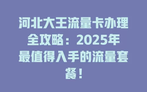 河北大王流量卡办理全攻略：2025年最值得入手的流量套餐！
