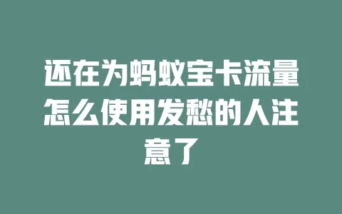 还在为蚂蚁宝卡流量怎么使用发愁的人注意了