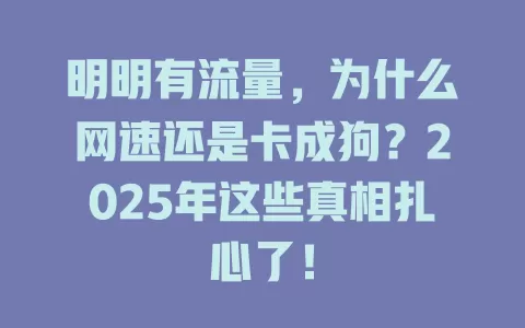 明明有流量，为什么网速还是卡成狗？2025年这些真相扎心了！