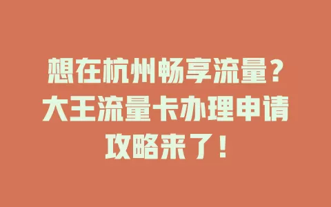 想在杭州畅享流量？大王流量卡办理申请攻略来了！