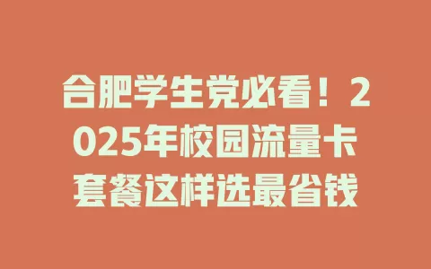 合肥学生党必看！2025年校园流量卡套餐这样选最省钱