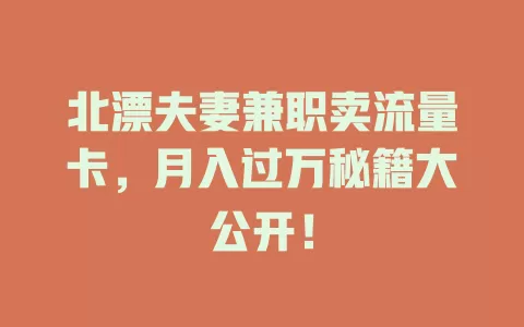 北漂夫妻兼职卖流量卡，月入过万秘籍大公开！