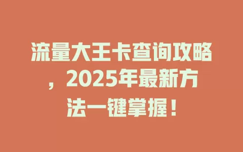 流量大王卡查询攻略，2025年最新方法一键掌握！