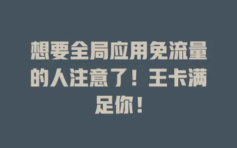 想要全局应用免流量的人注意了！王卡满足你！