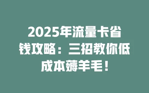 2025年流量卡省钱攻略：三招教你低成本薅羊毛！
