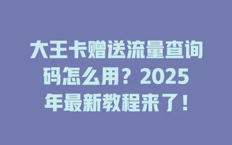 大王卡赠送流量查询码怎么用？2025年最新教程来了！