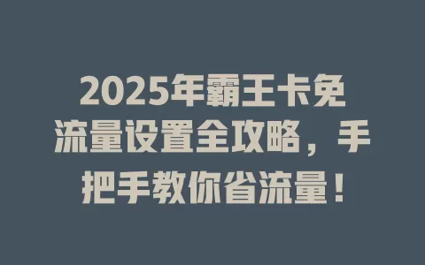 2025年霸王卡免流量设置全攻略，手把手教你省流量！