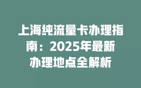 上海纯流量卡办理指南：2025年最新办理地点全解析