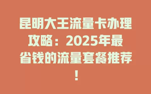 昆明大王流量卡办理攻略：2025年最省钱的流量套餐推荐！
