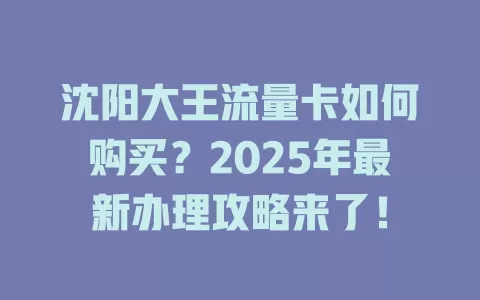 沈阳大王流量卡如何购买？2025年最新办理攻略来了！