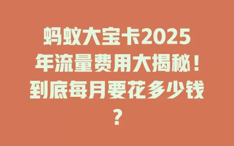 蚂蚁大宝卡2025年流量费用大揭秘！到底每月要花多少钱？