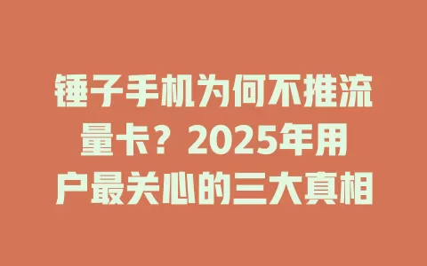 锤子手机为何不推流量卡？2025年用户最关心的三大真相