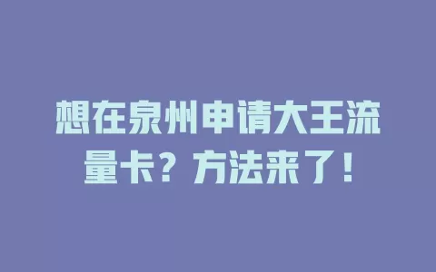 想在泉州申请大王流量卡？方法来了！