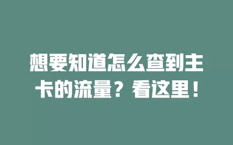 想要知道怎么查到主卡的流量？看这里！