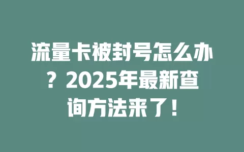 流量卡被封号怎么办？2025年最新查询方法来了！