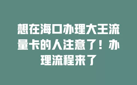 想在海口办理大王流量卡的人注意了！办理流程来了