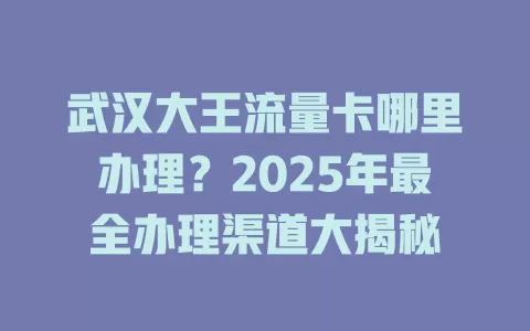 武汉大王流量卡哪里办理？2025年最全办理渠道大揭秘