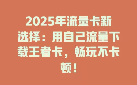 2025年流量卡新选择：用自己流量下载王者卡，畅玩不卡顿！